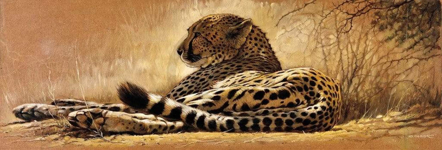 Art Print Renato Casaro - Little rest 99x34cm