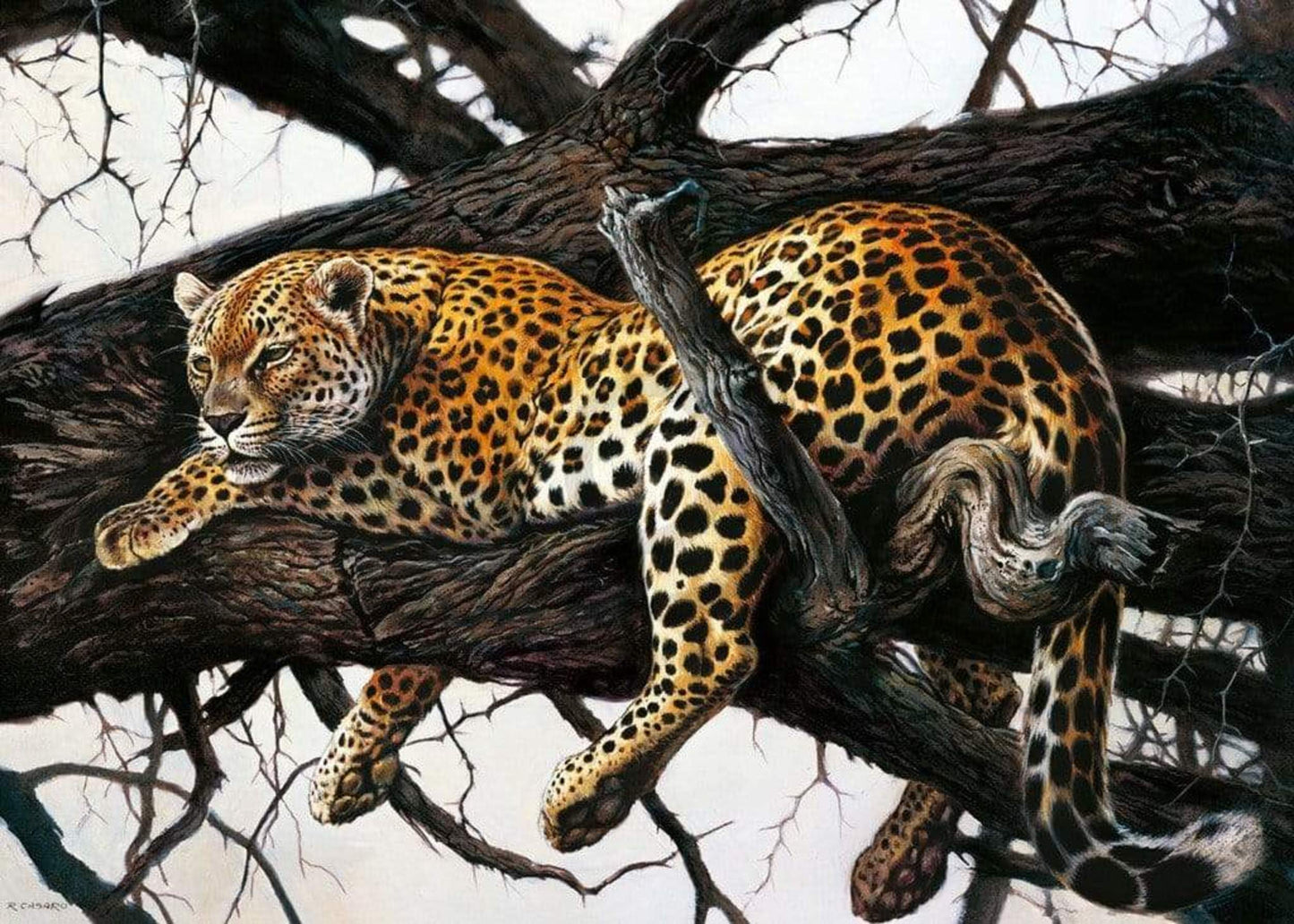 Art Print Renato Casaro - Laziness 70x50cm
