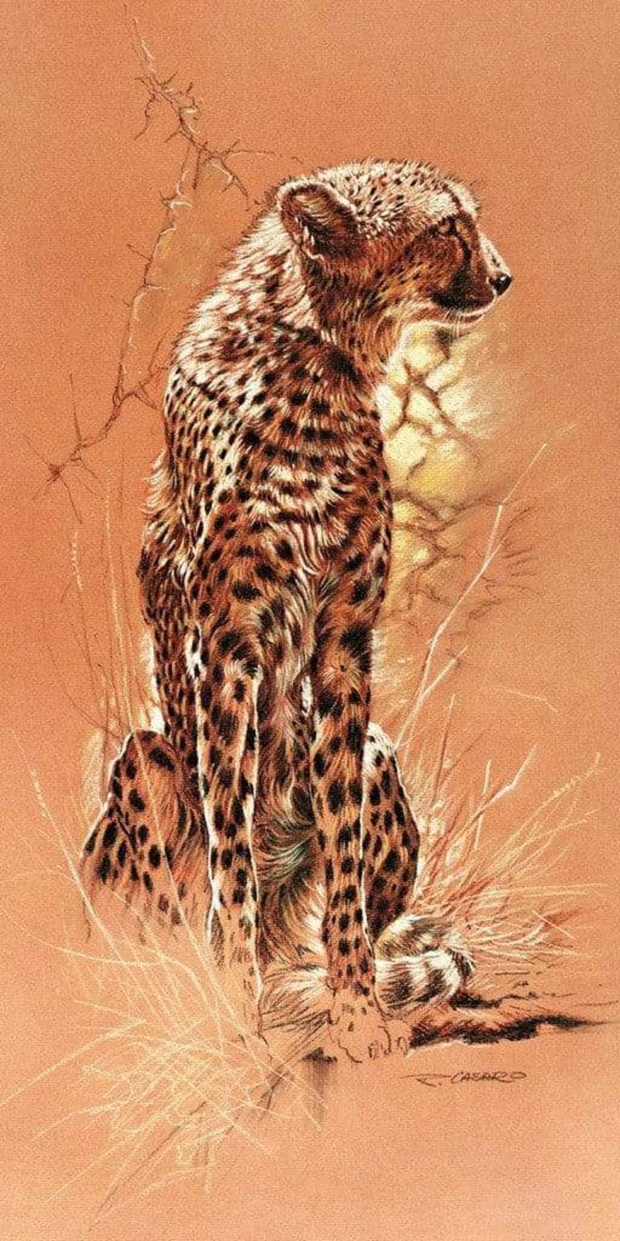 Art Print Renato Casaro - Cheetah 50x100cm