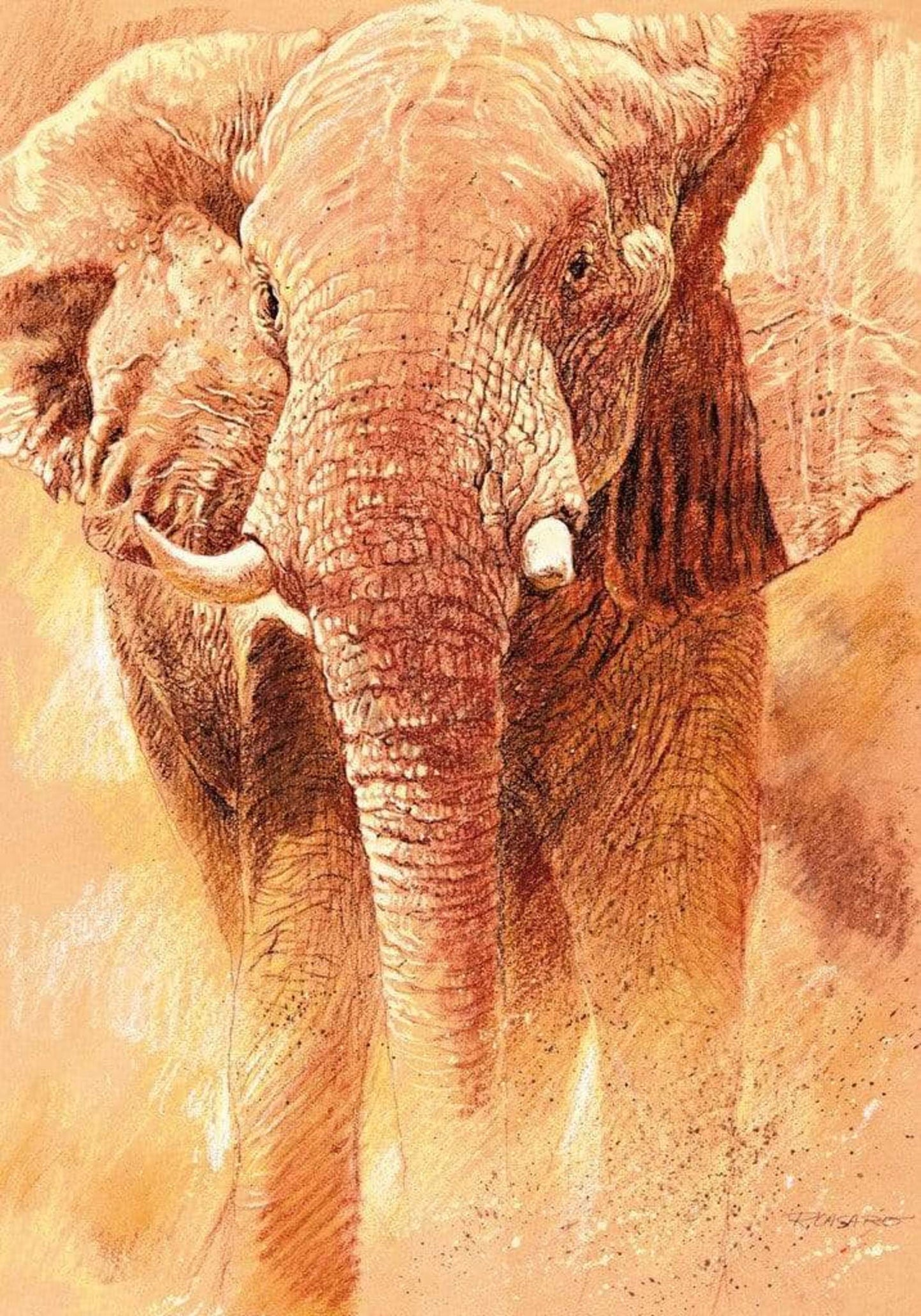 Art Print Renato Casaro - Elefant Study 70x100cm