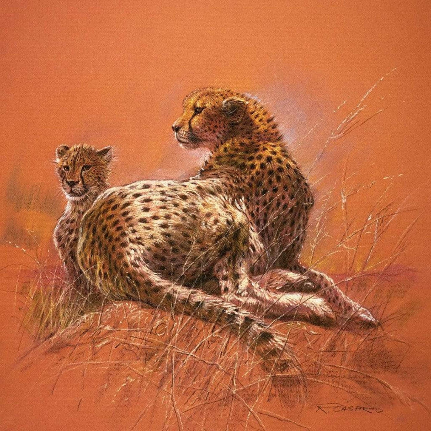 Art Print Renato Casaro - Cheetah Mother 50x50cm