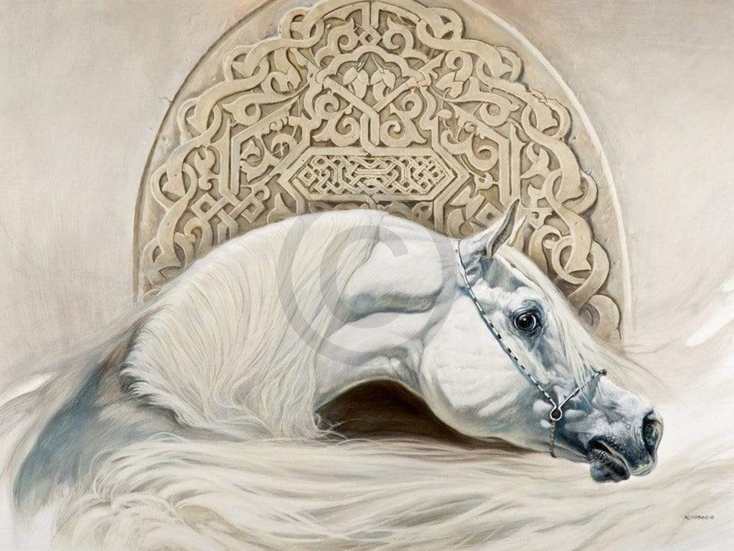 Art Print Renato Casaro - Arabian Pride 80x60cm