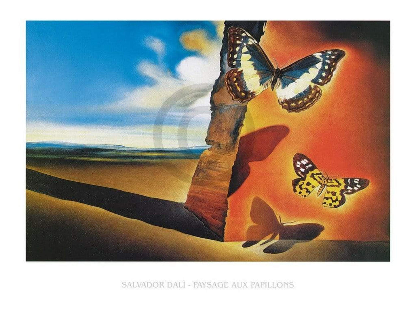 Art Print Salvador Dali - Paysage aux Papillons 80x60cm