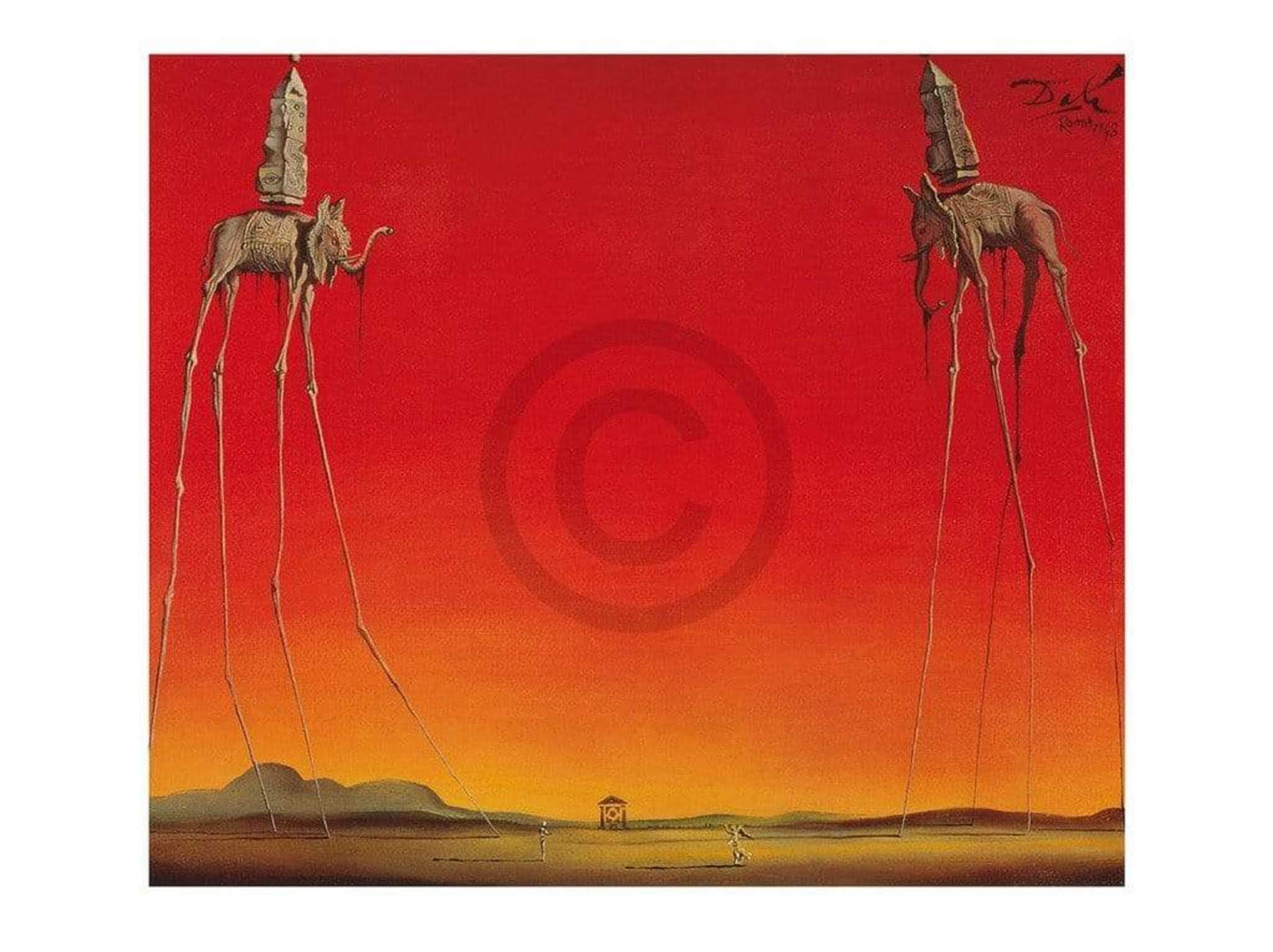 Art Print Salvador Dali - Les Elephants 80x60cm