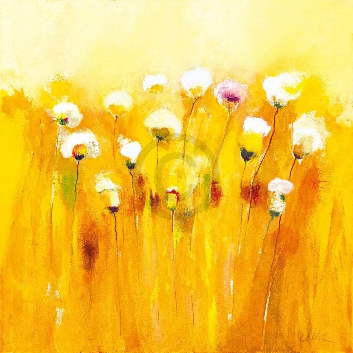 Art Print Anne L. Strunk - Summerfields I 70x70cm