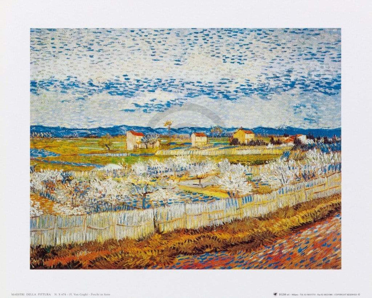 Art Print Vincent Van Gogh - Pesco in fiore 30x24cm
