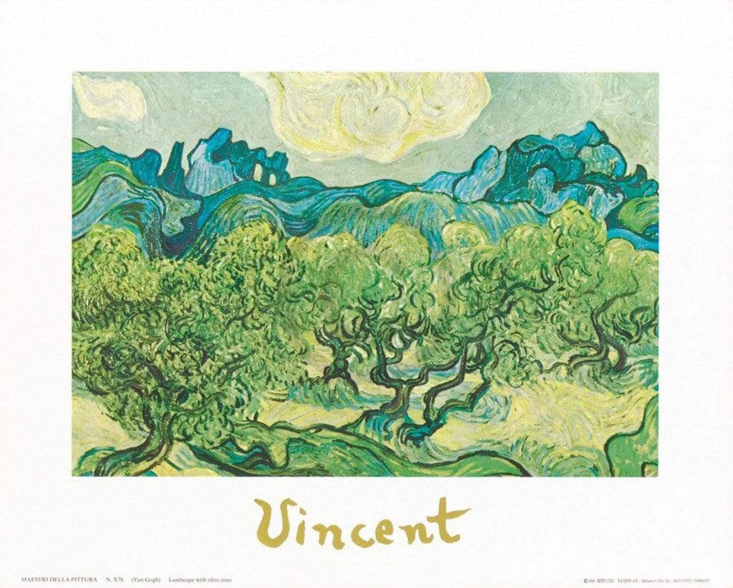 Art Print Vincent Van Gogh - Landscapes with olive trees 30x24cm