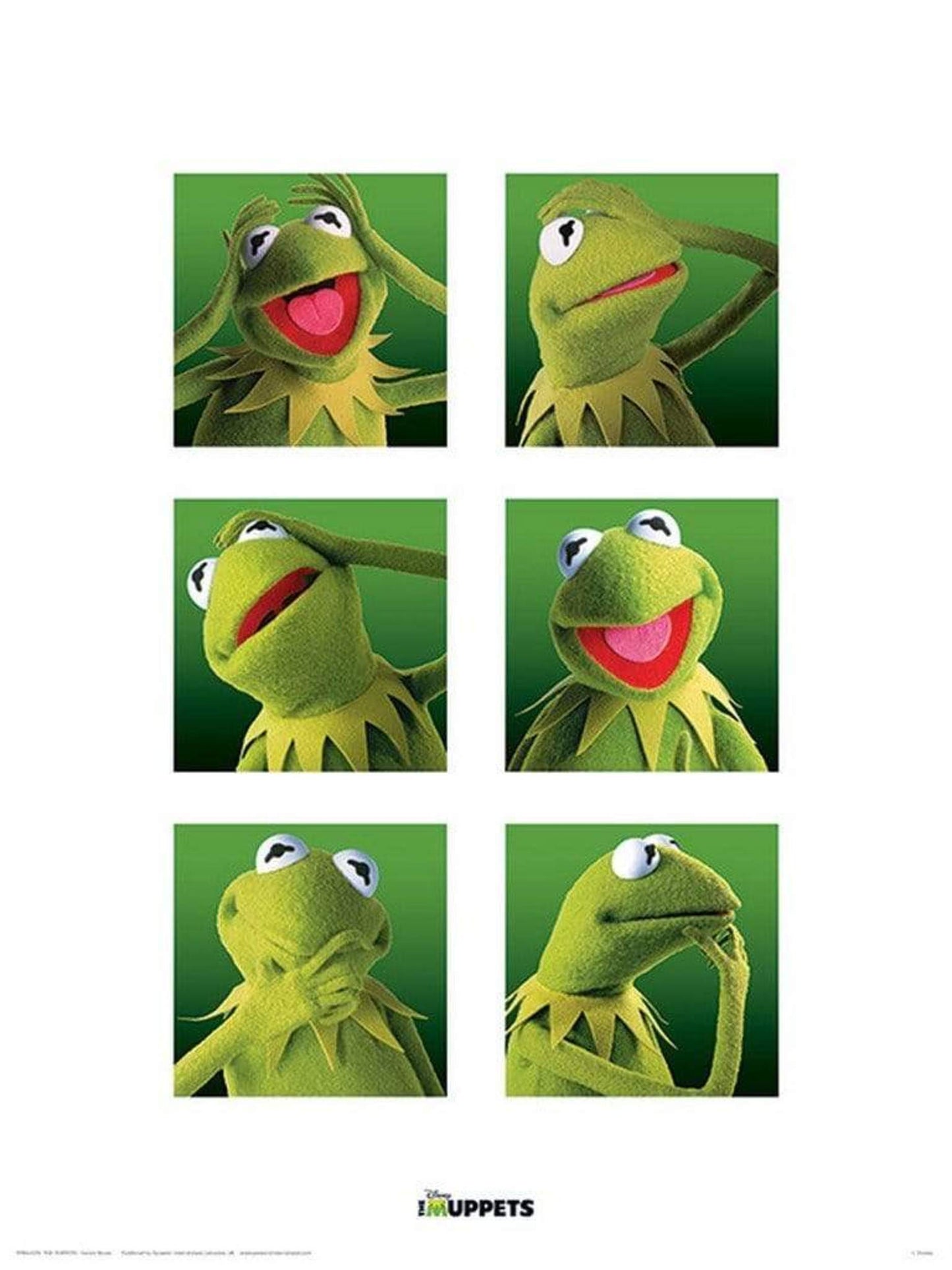 The Muppets - Kermit Boxes Art Print 30x40cm