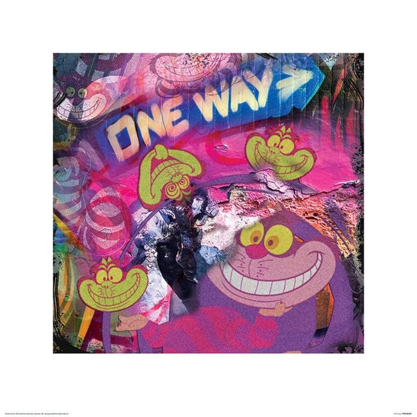 Art Print The Cheshire Cat - Graffiti 40x40cm