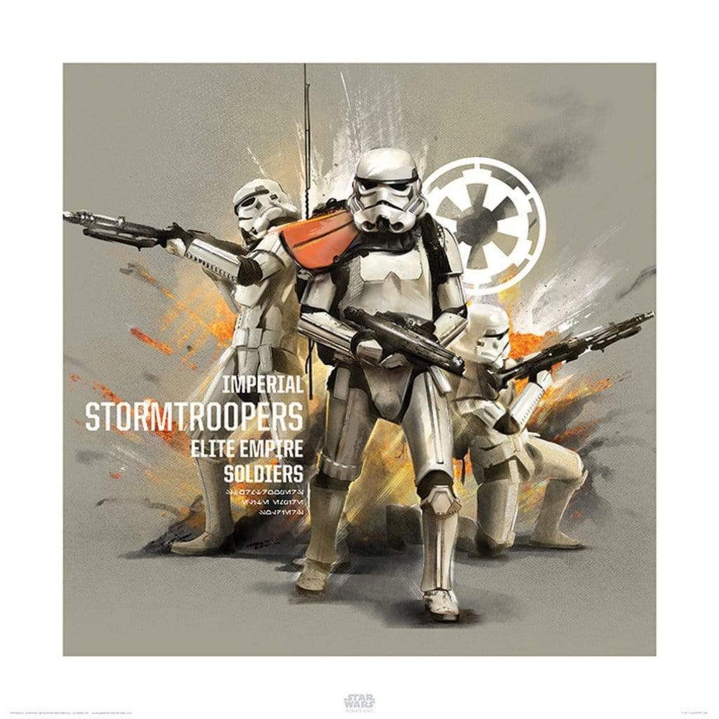 Art Print Star Wars - Rogue One Stormtroopers Profile 40x40cm