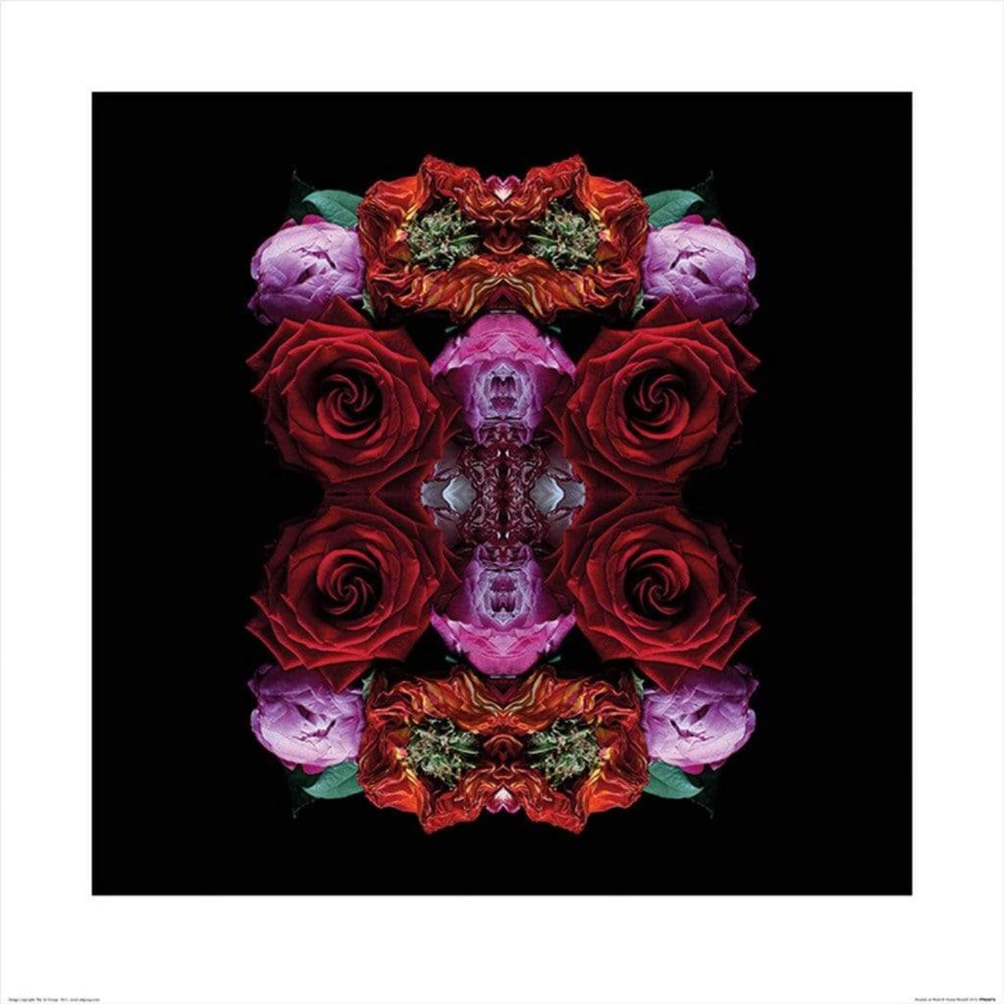 Art Print Alyson Fennell - Paradise of Petals 60x60cm