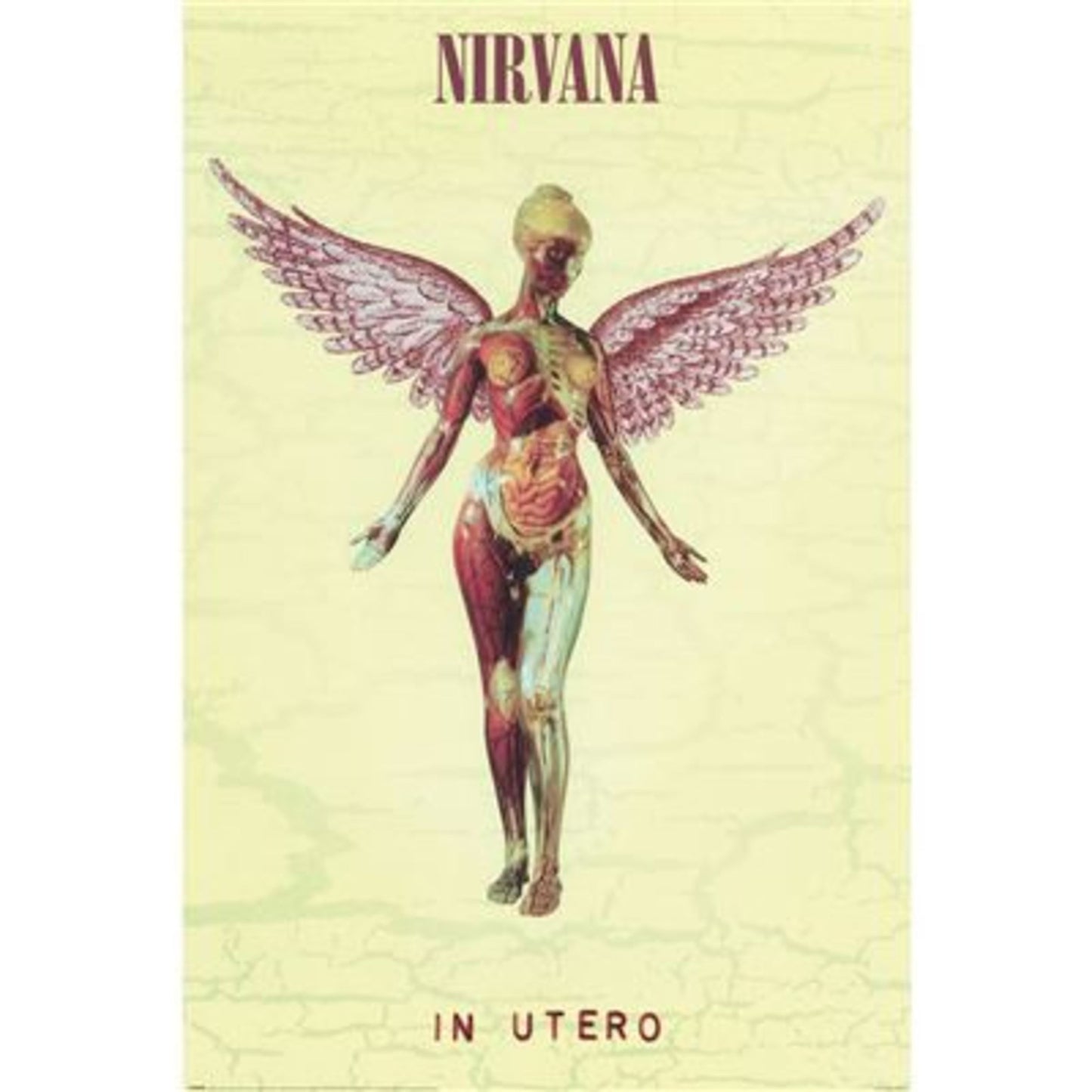 Poster Nirvana - In Utero 61x91,5cm