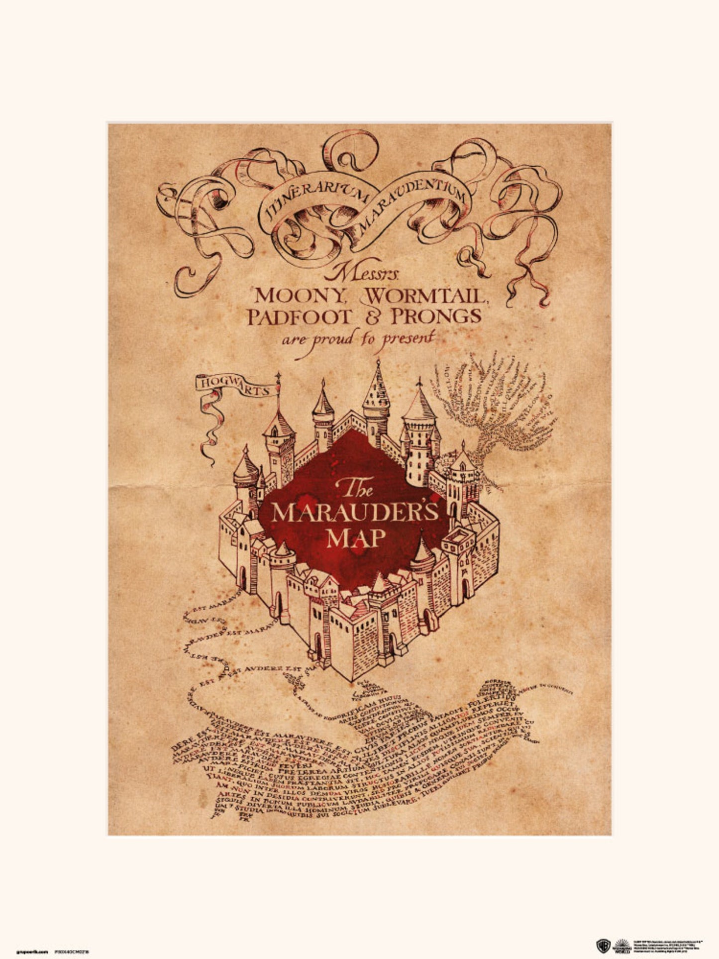 Art Print Harry Potter - The Marauders Map 30x40cm