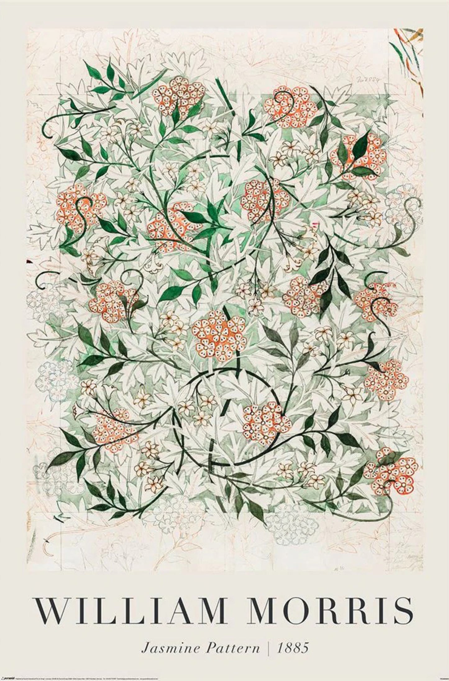 Poster William Morris - Jasmine in Progress 61x91,5cm