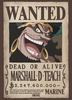 Poster One Piece - Wanted Blackbeard 38x52cm
