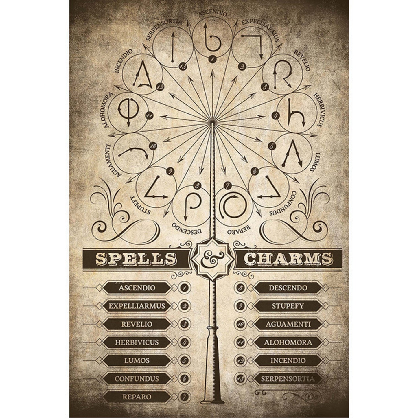 Poster Harry Potter - Spells and Charms 61x91,5cm