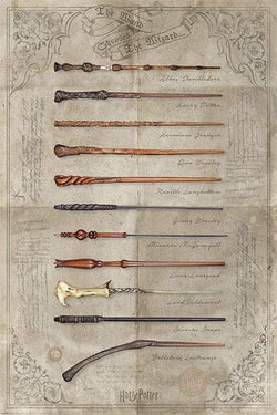Poster Harry Potter - The Wand Chooses the Wizard 61x91,5cm