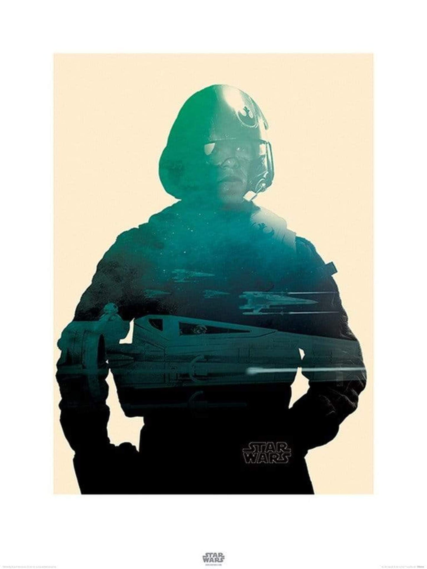 Art Print Star Wars - Episode VII Poe Tri 60x80cm