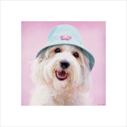 Art Print Rachael Hale - Cindy 40x40cm