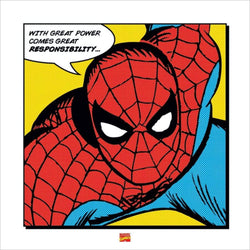 Art Print Spider-Man - With Great Power 40x40cm