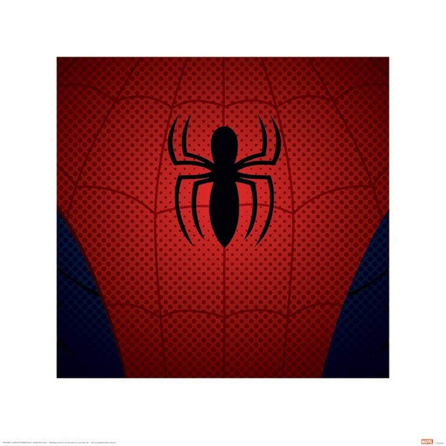 Art Print Ultimate Spider-Man Torso 40x40cm