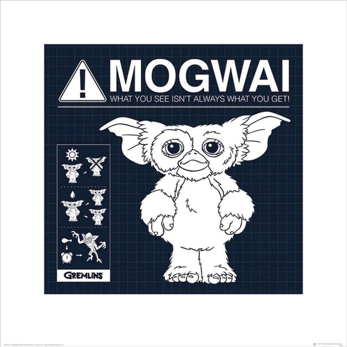 Art Print Gremlins - Mogwai Rules 40x40cm