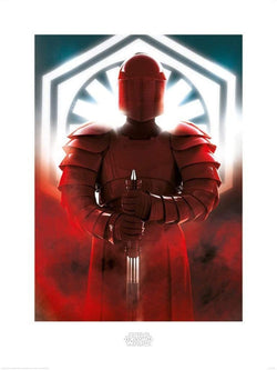 Art Print Star Wars - The Last Jedi Elite Guard Defend 60x80cm