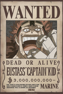 Poster One Piece - Poster Wanted Kid Wano 38x52cm