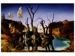 Art Print Salvador Dali - Reflections of Elephants 80x60cm