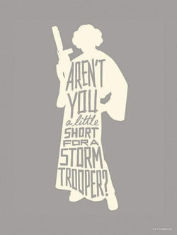 Art Print Star Wars - Silhouette Quotes Leia 30x40cm