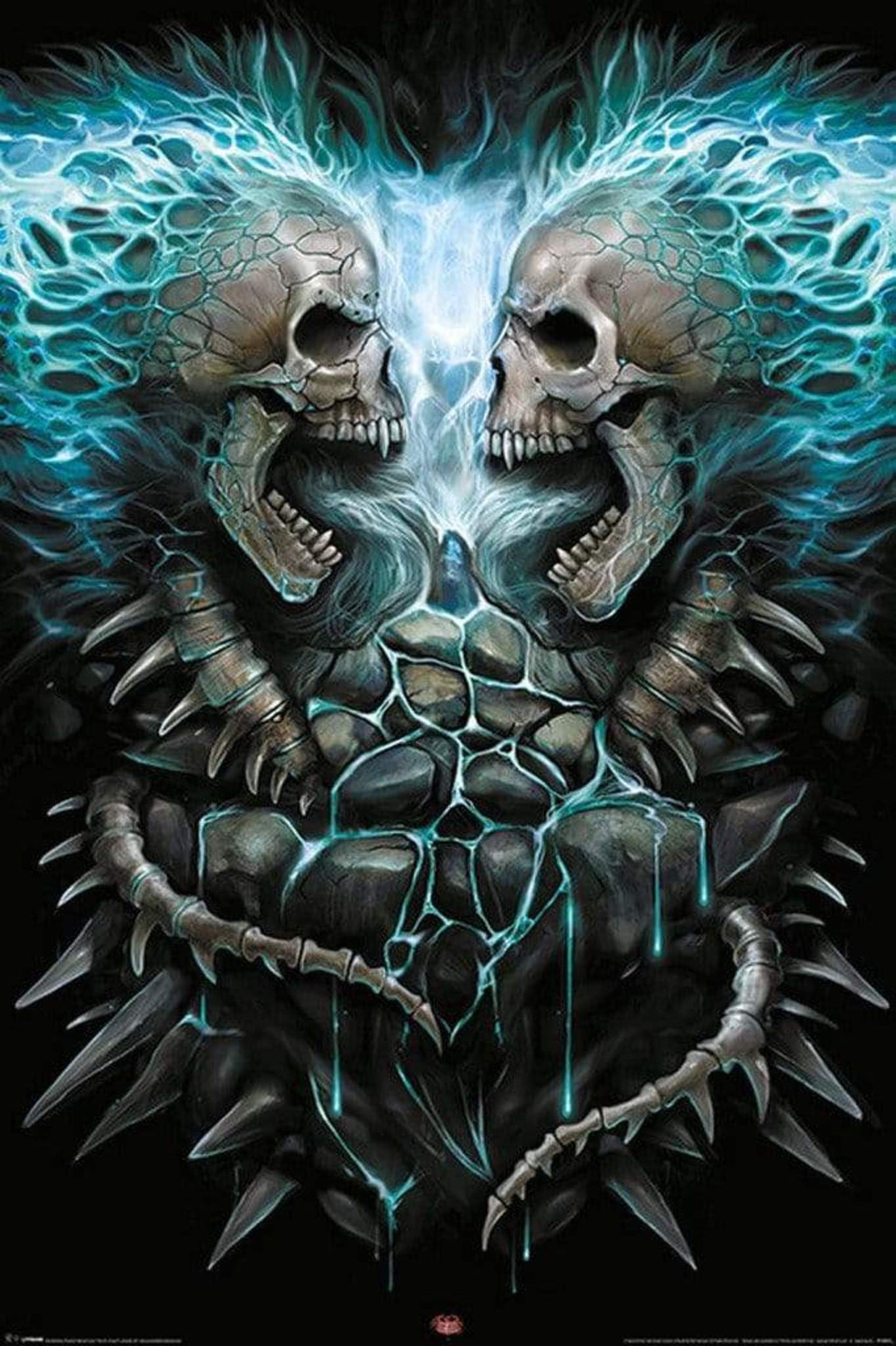 Poster Spiral Flaming Spine 61x91,5cm