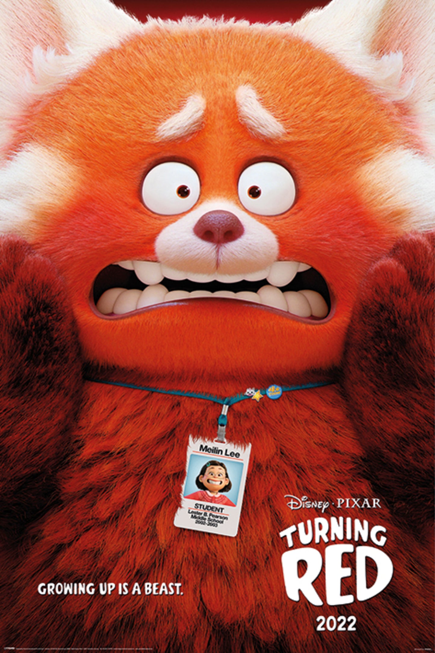 Poster Turning Red Growing Up Is A Beast 61x91,5cm