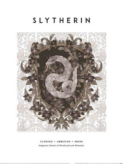 Art Print Harry Potter - Slytherin 30x40cm