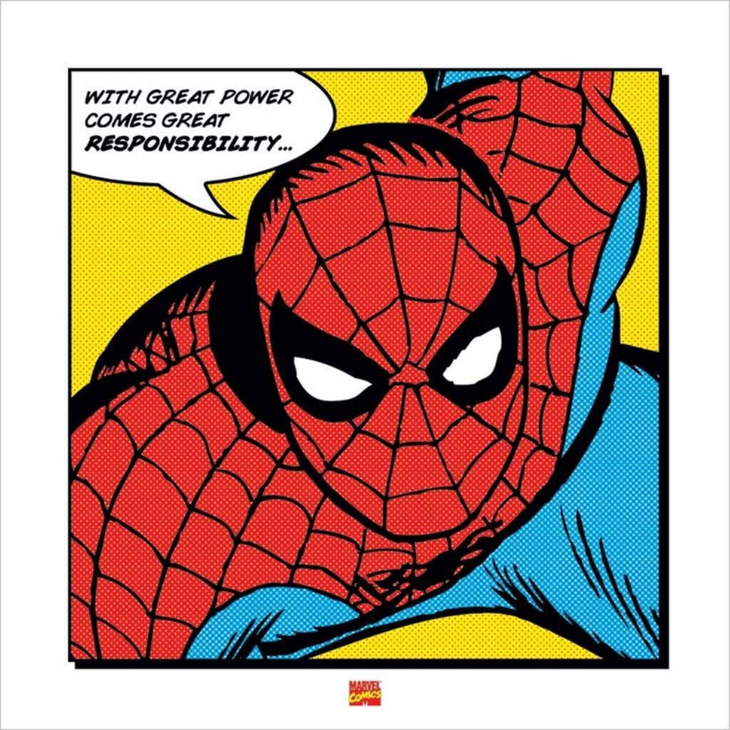 Art Print Spider-Man - With Great Power 40x40cm