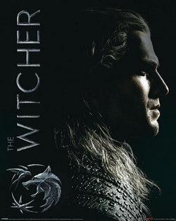 Poster The Witcher - Shadows Embrace 40x50cm