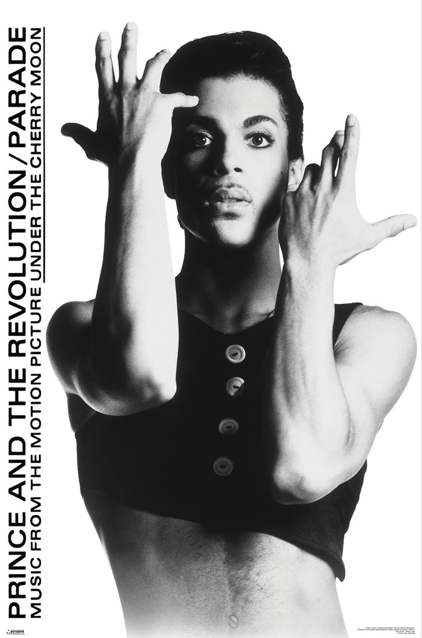 Poster Prince 61x91,5cm