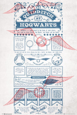 Poster Harry Potter Quidditch at Hogwarts 61x91,5cm