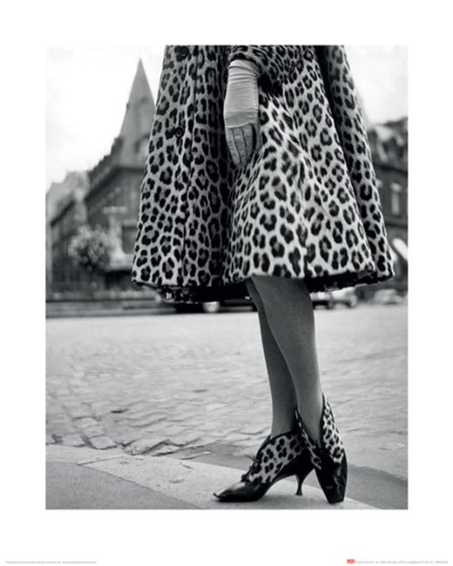 Art Print Time Life Dior Leopard Print 40x50cm
