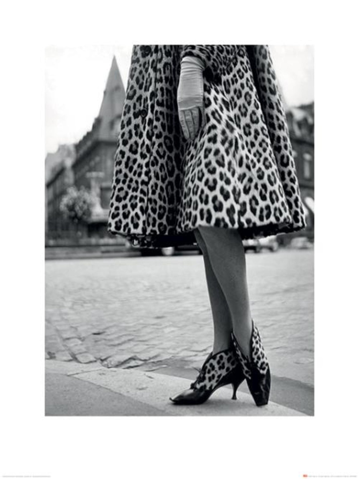 Art Print Time Life Dior Leopard Print 60x80cm