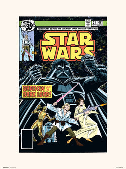 Art Print Star Wars 21 Shadow Of A Dark Lord 30x40cm