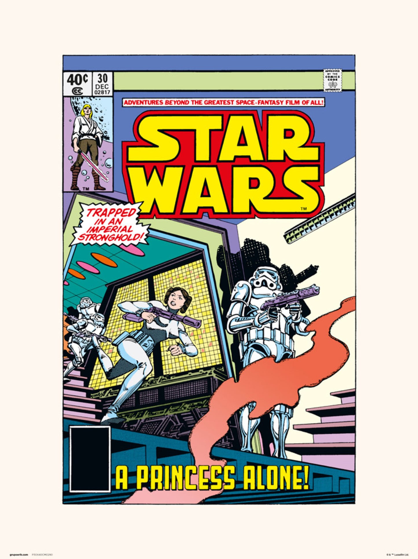 Art Print Star Wars 30 A Princess Alone 30x40cm
