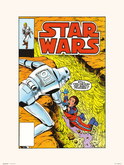 Art Print Star Wars 86 The Alderaan Factor 30x40cm