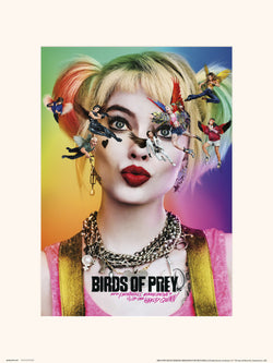 Art Print Birds of Prey Dazed and Confused 30x40cm