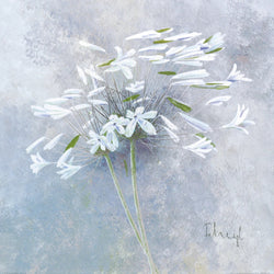 Art Print Franz Heigl - Enchanted I 60x60cm