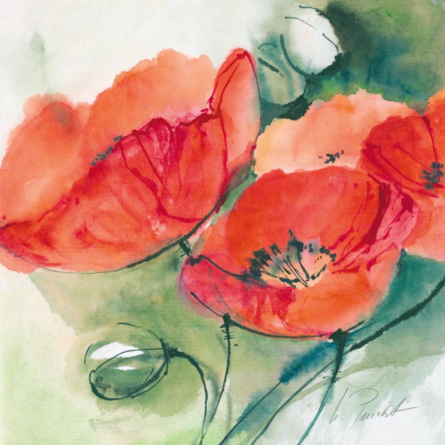 Art Print Marta Peuckert - Mohnblüten 21x21cm