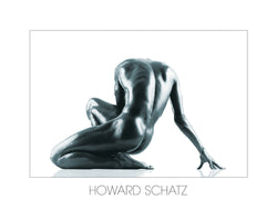 Art Print Howard Schatz - Ästhetik 80x60cm