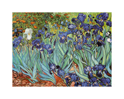 Art Print Vincent Van Gogh - Iris 30x24cm