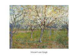 Art Print Vincent van Gogh - The Orchard 70x50cm