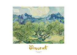 Art Print Vincent Van Gogh - Landscapes with olive trees 70x50cm