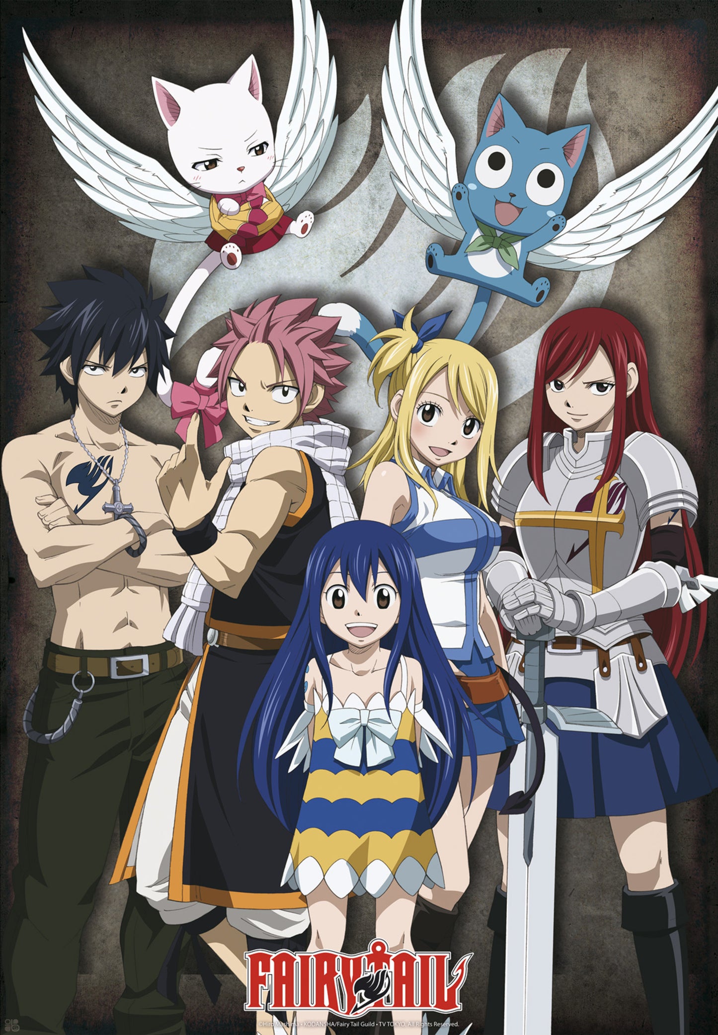 Poster Fairy Tail Group 61x91,5cm